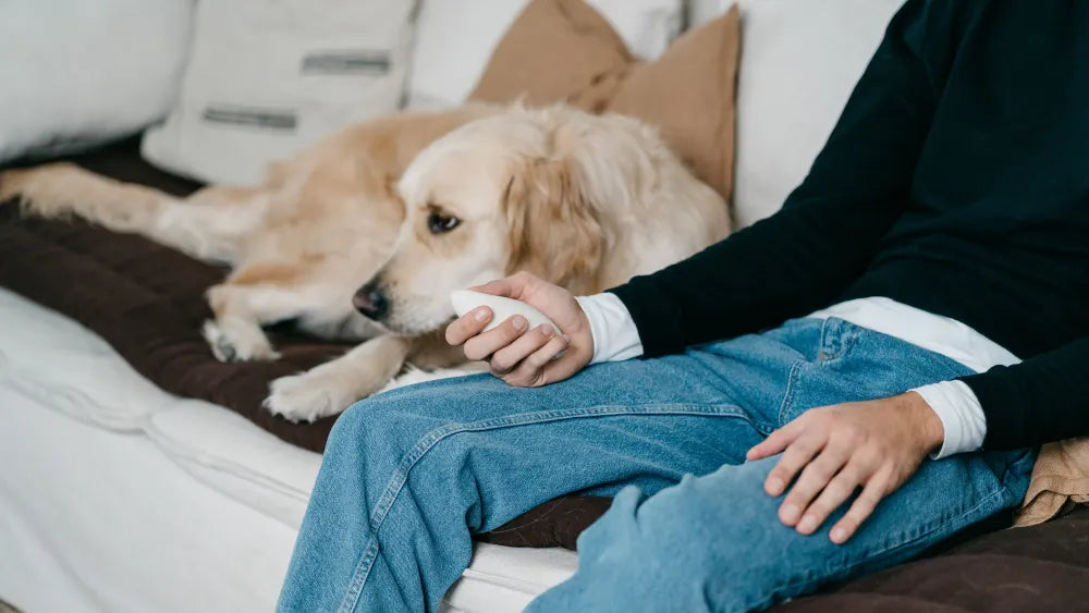 Breathwork for anxiety: tips for a safe and comfortable breathing practice